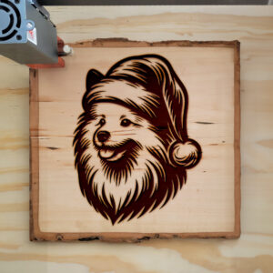 305779_wood-laser-1.jpg