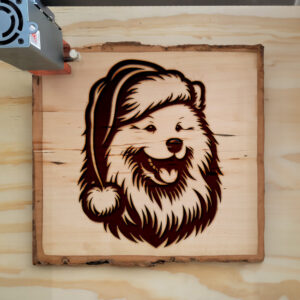 305800_wood-laser-1.jpg