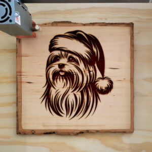 305830_wood-laser-1.jpg