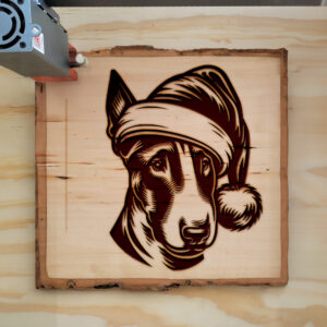 305871_wood-laser-1.jpg