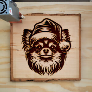 305883_wood-laser-1.jpg