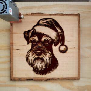 305905_wood-laser-1.jpg
