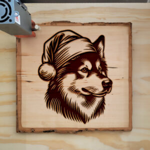 305907_wood-laser-1.jpg