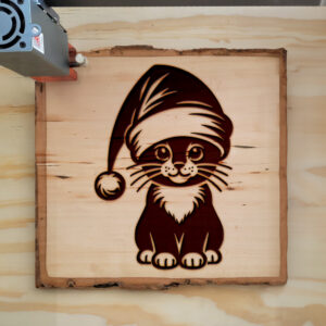 307431_wood-laser-1.jpg