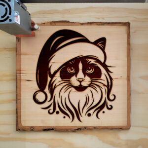 307435_wood-laser-1.jpg