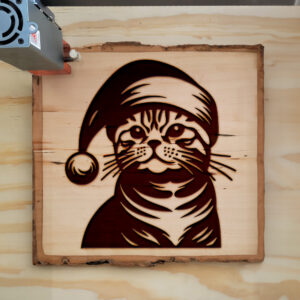 307437_wood-laser-1.jpg