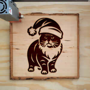 307459_wood-laser-1.jpg