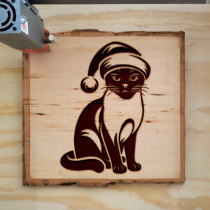 307461_wood-laser-1.jpg