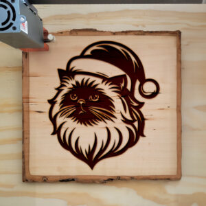 307465_wood-laser-1.jpg