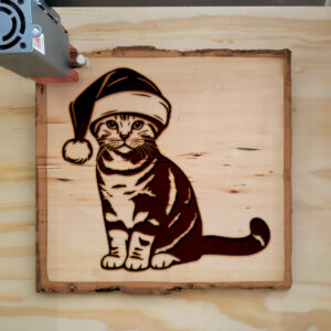 307477_wood-laser-1.jpg