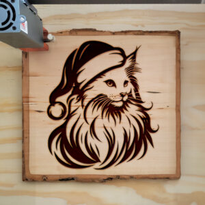 307479_wood-laser-1.jpg
