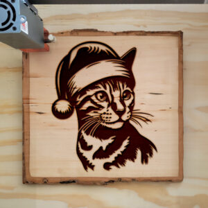 307488_wood-laser-1.jpg