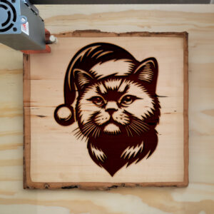 307491_wood-laser-1.jpg