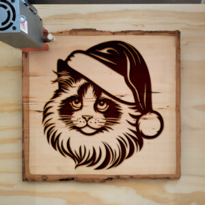 307545_wood-laser-1.jpg