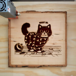 307553_wood-laser-1.jpg