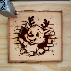 307770_wood-laser-1.jpg