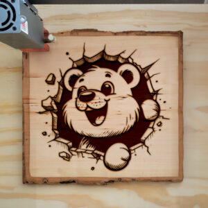307787_wood-laser-1.jpg