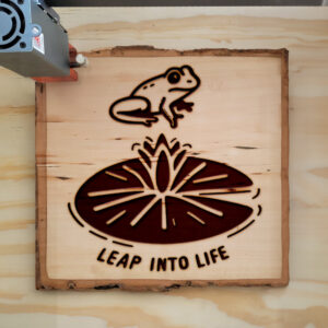 310834_wood-laser-1.jpg