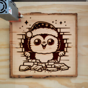 311039_wood-laser-1.jpg