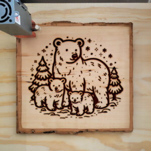 314489_wood-laser-1.jpg