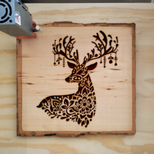 314493_wood-laser-1.jpg