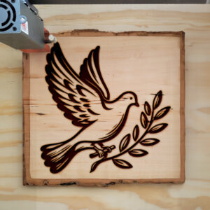 316219_wood-laser-1.jpg