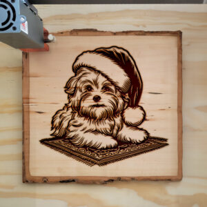 316356_wood-laser-1.jpg