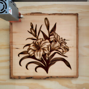 316358_wood-laser-1.jpg