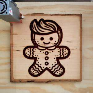 317442_wood-laser-1.jpg