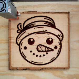 317511_wood-laser-1.jpg
