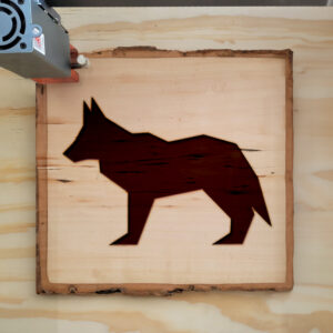 320717_wood-laser-1.jpg