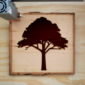 320723_wood-laser-1.jpg