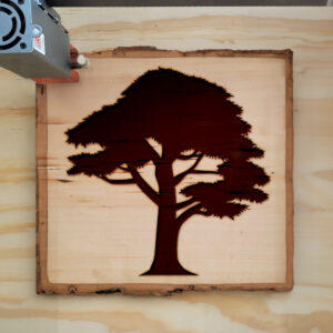 320725_wood-laser-1.jpg