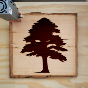 320727_wood-laser-1.jpg
