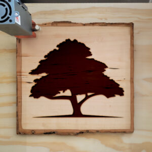 320729_wood-laser-1.jpg