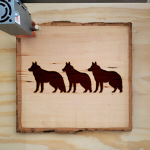 320764_wood-laser-1.jpg