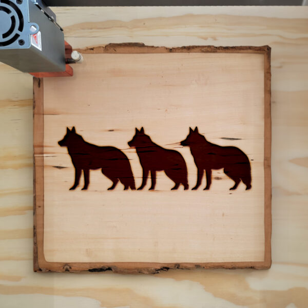 320764_wood-laser-1.jpg