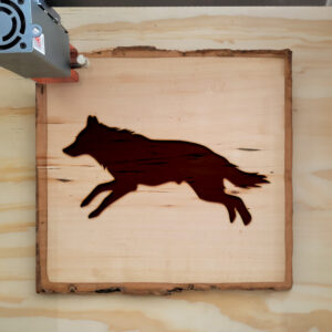 320774_wood-laser-1.jpg