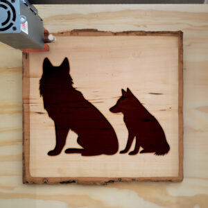320789_wood-laser-1.jpg