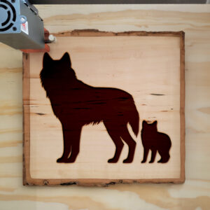 320791_wood-laser-1.jpg