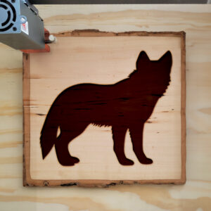 320799_wood-laser-1.jpg