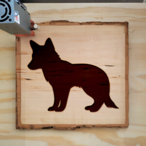 320803_wood-laser-1.jpg