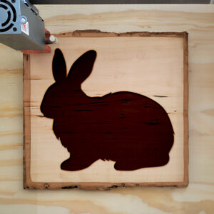 331298_wood-laser-1.jpg