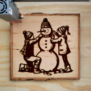 359458_wood-laser-1.jpg
