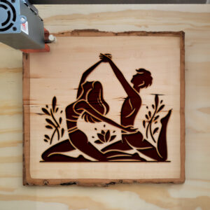 359585_wood-laser-1.jpg