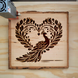 361668_wood-laser-1.jpg