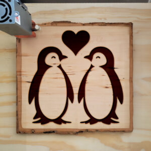 361702_wood-laser-1.jpg