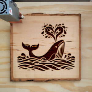 361723_wood-laser-1.jpg