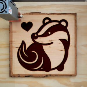 361739_wood-laser-1.jpg