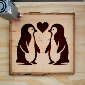 361922_wood-laser-1.jpg